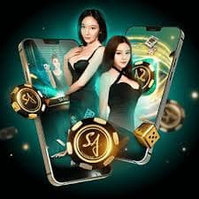 ee55com
